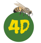 logo-4d-transparent.png